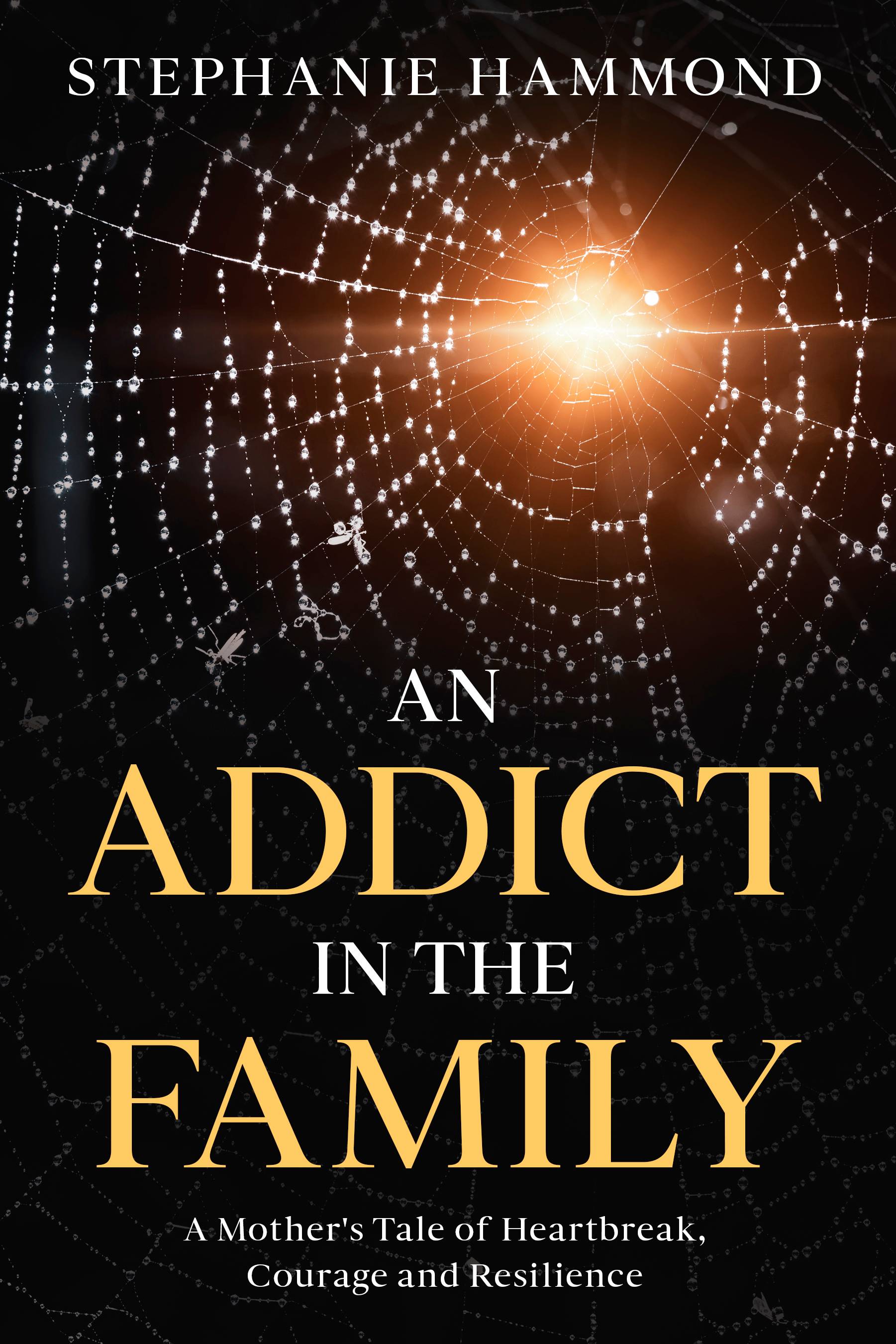 Cover of memoir An Addict in the Family
