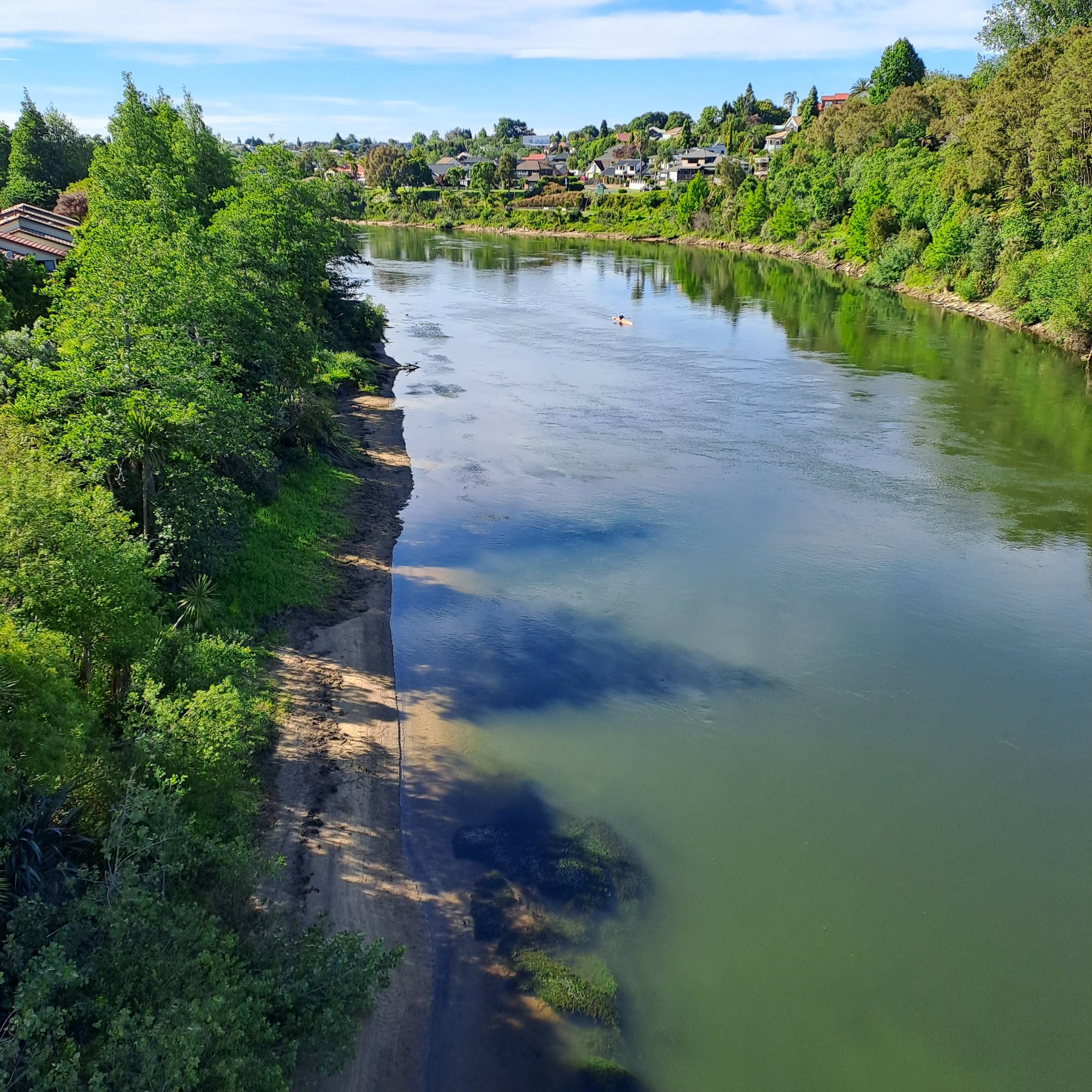View south along the Waikato River, Hamilton, New Zealand