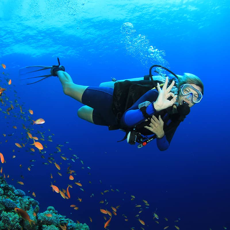 Overcoming the fear