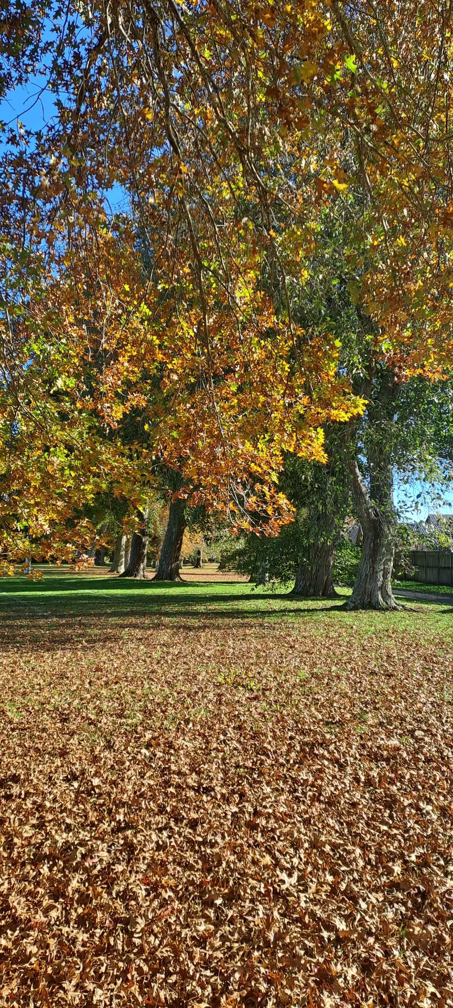 Autumn – My favourite time of Year